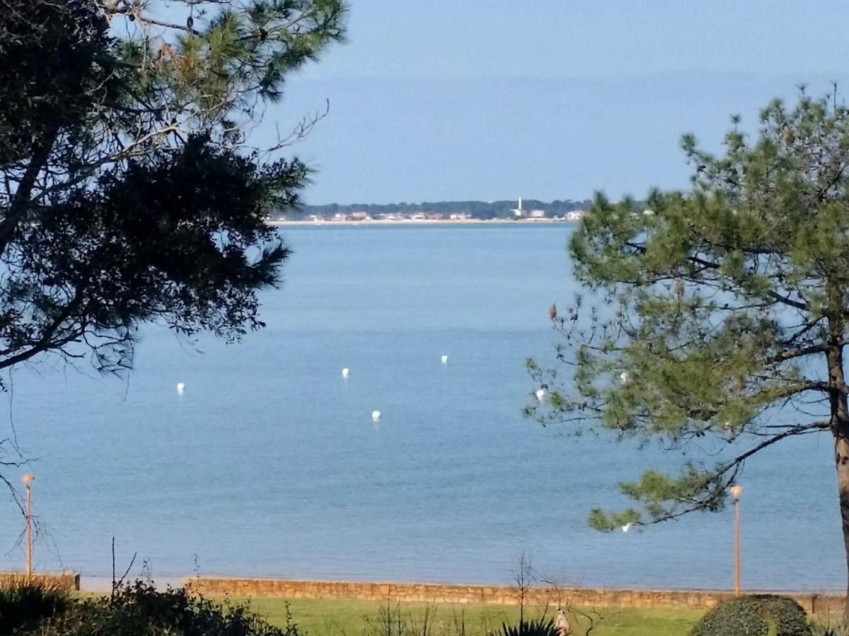 Panoramic * Arcachon